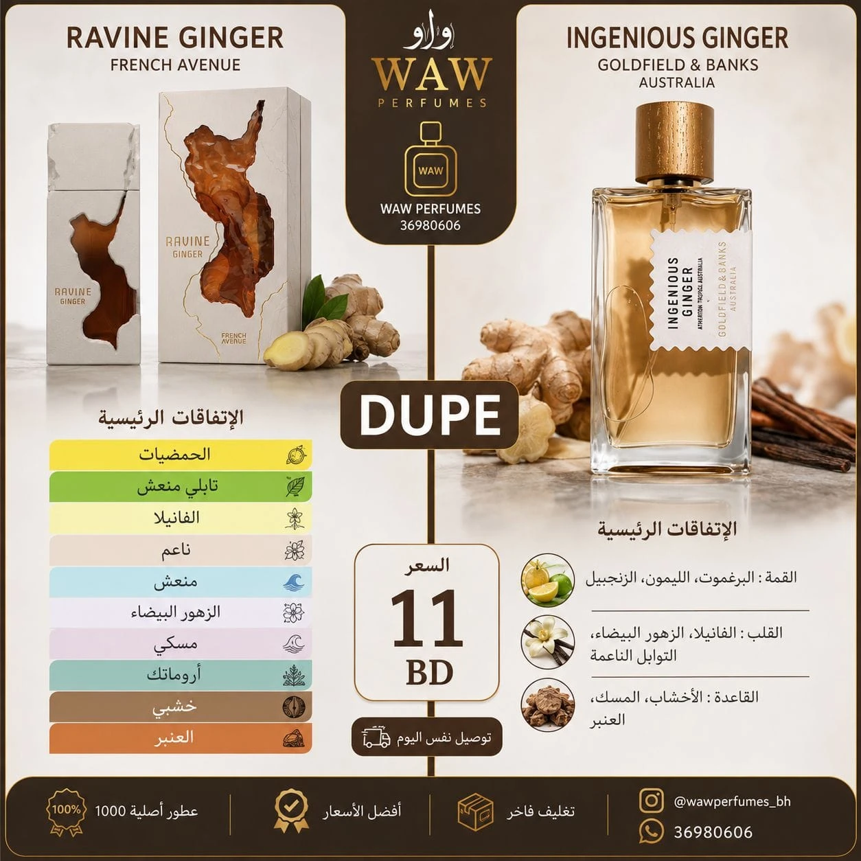 Ravine Ginger French Avenue