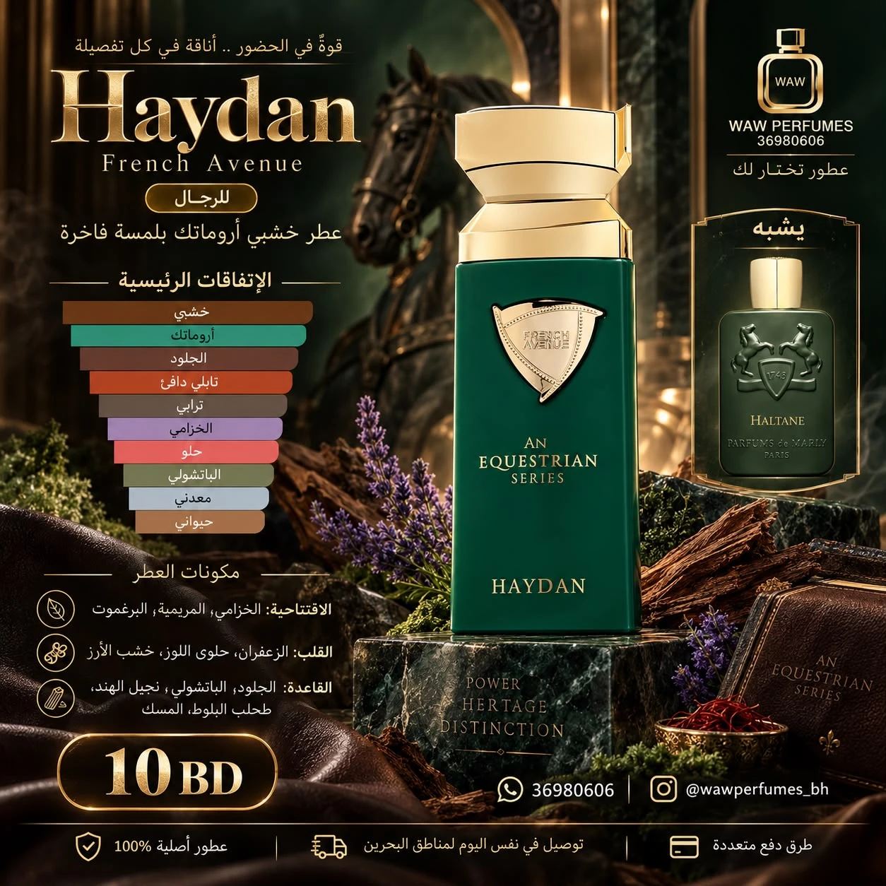 An Equestrian Series Haydan French Avenue