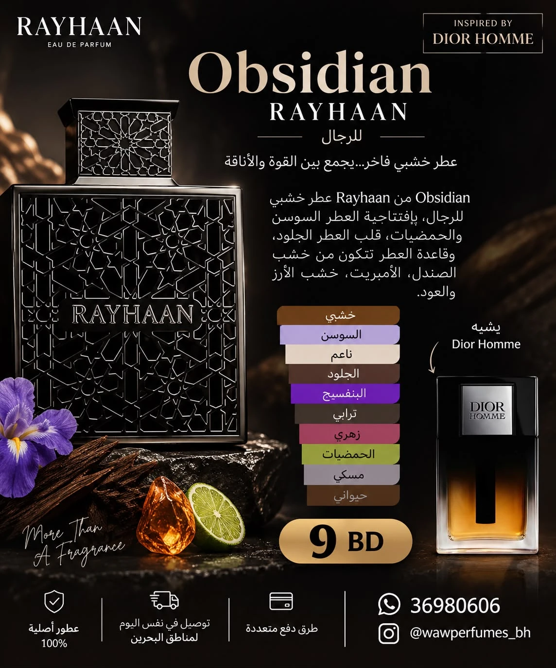 Obsidian Rayhaan