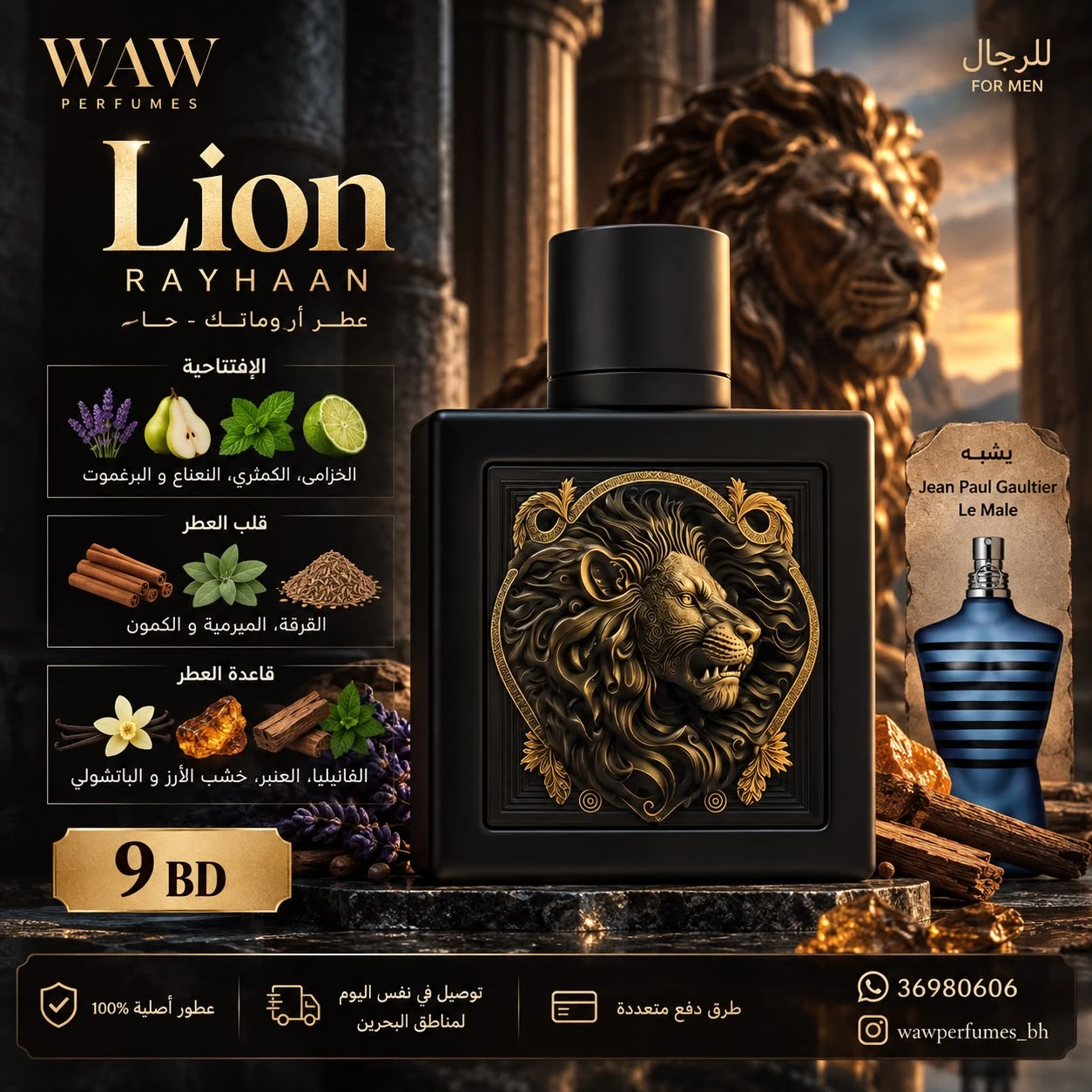 Lion Rayhaan