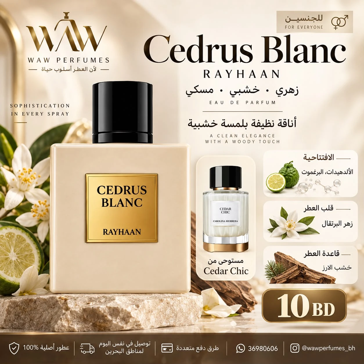 Cedrus Blanc Rayhaan