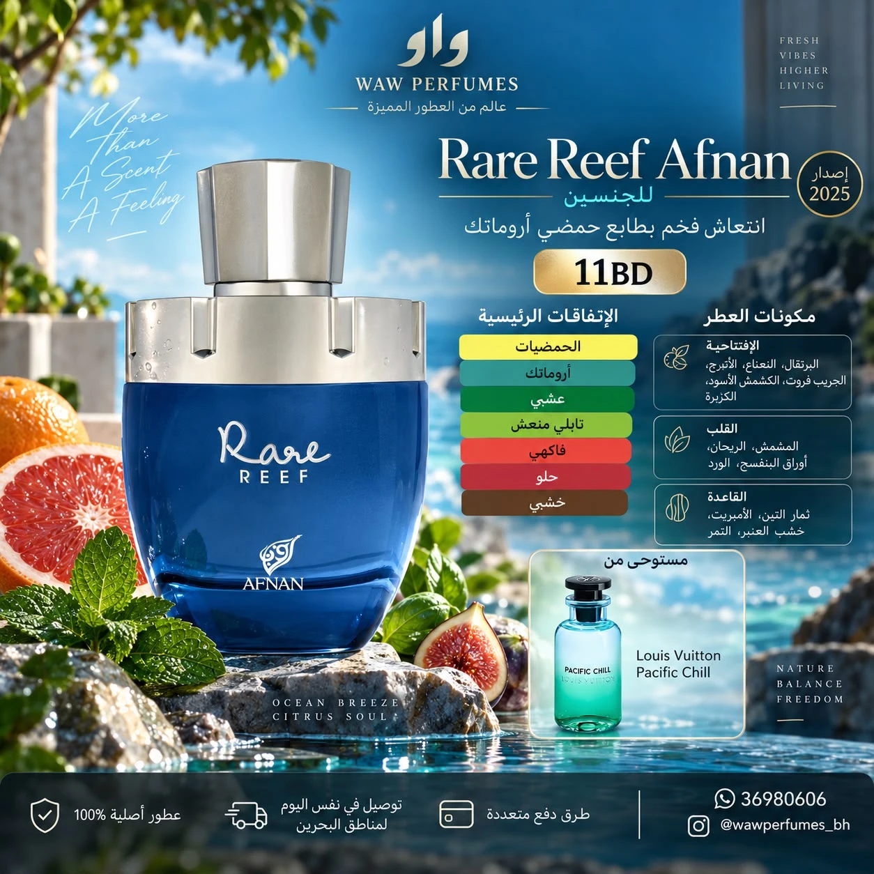 Rare Reef Afnan