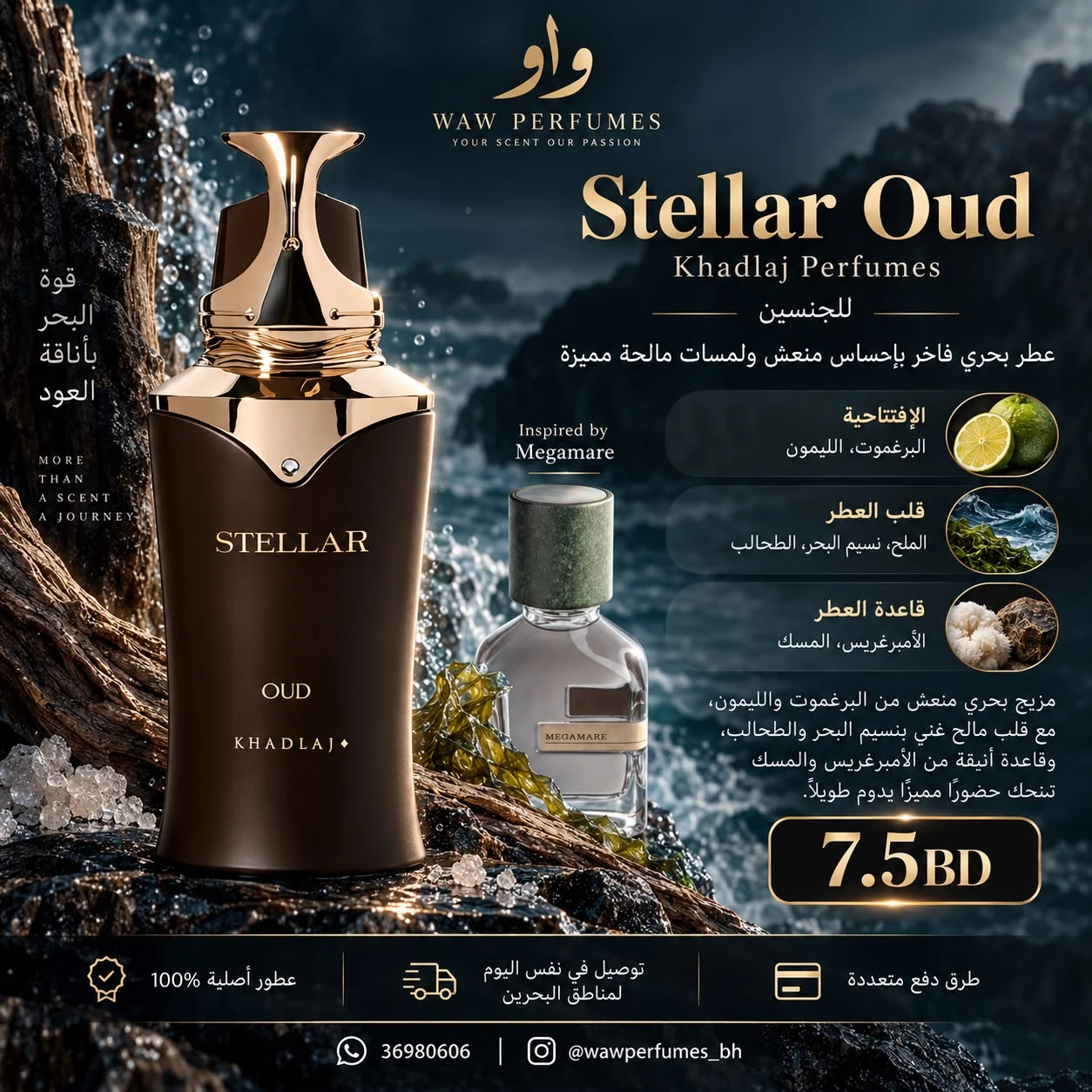 STELLAR OUD Khadlaj
