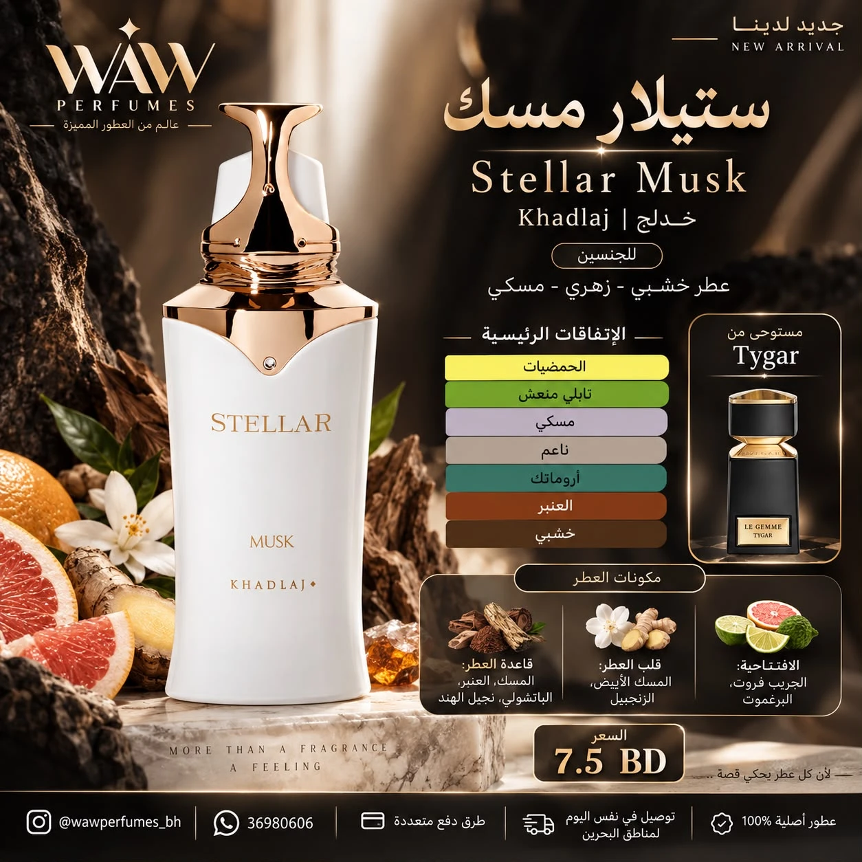 STELLAR MUSK Khadlaj