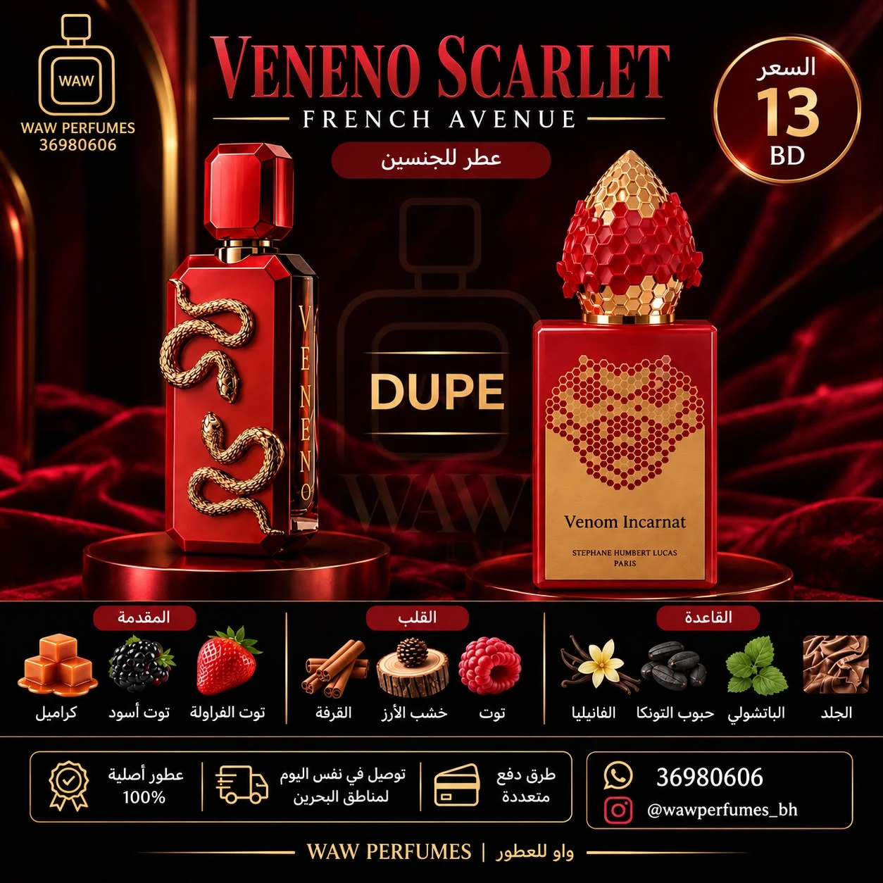 Veneno Scarlet French Avenue