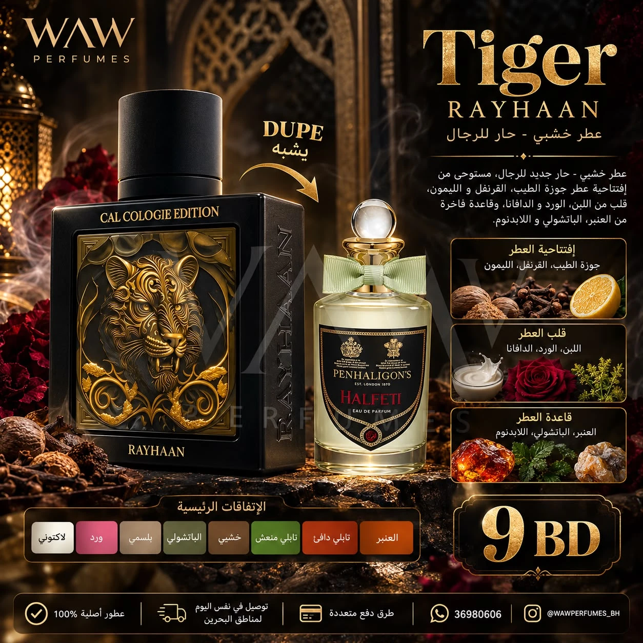 Tiger – Rayhaan
