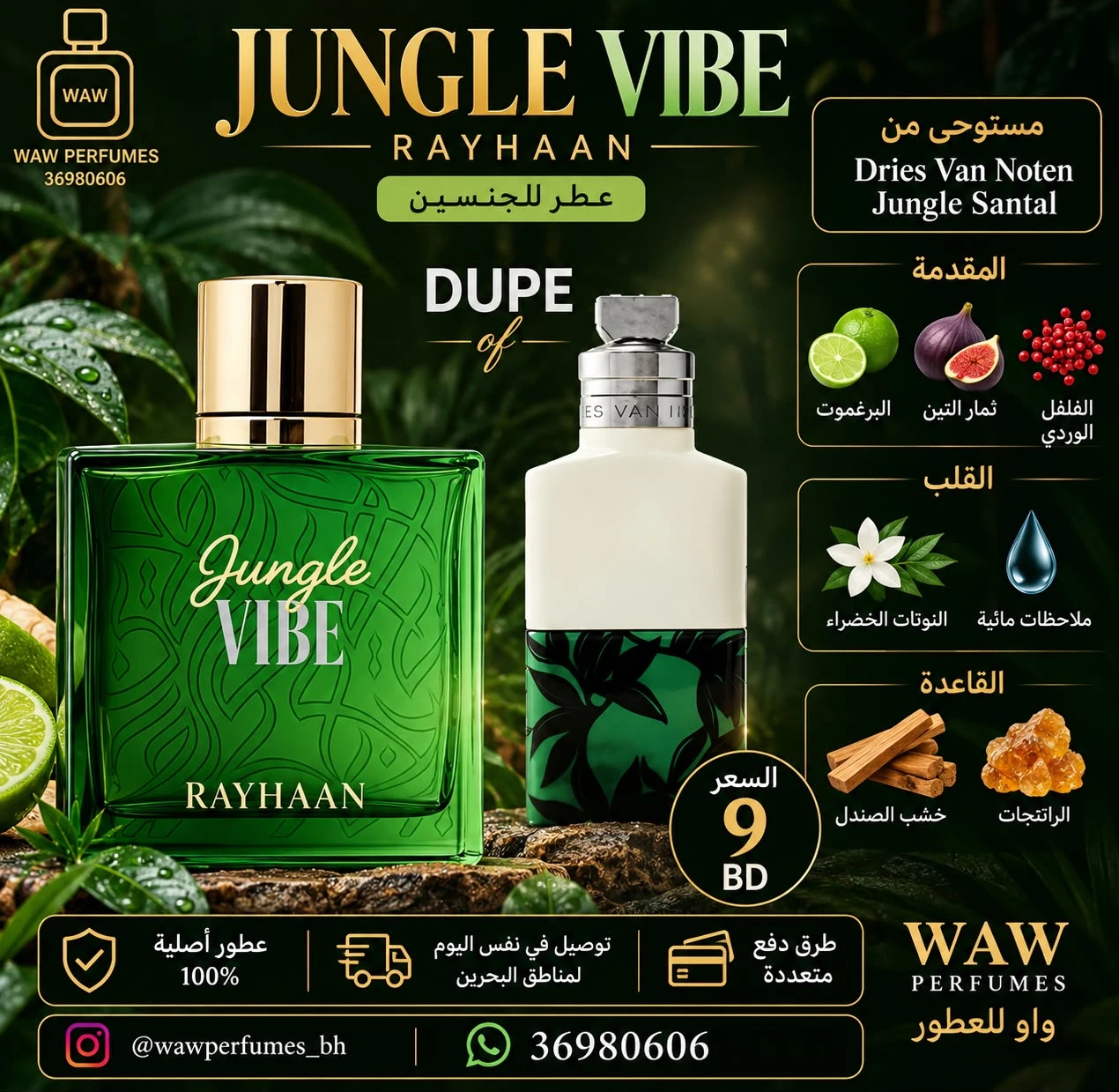 Jungle Vibe – Rayhaan