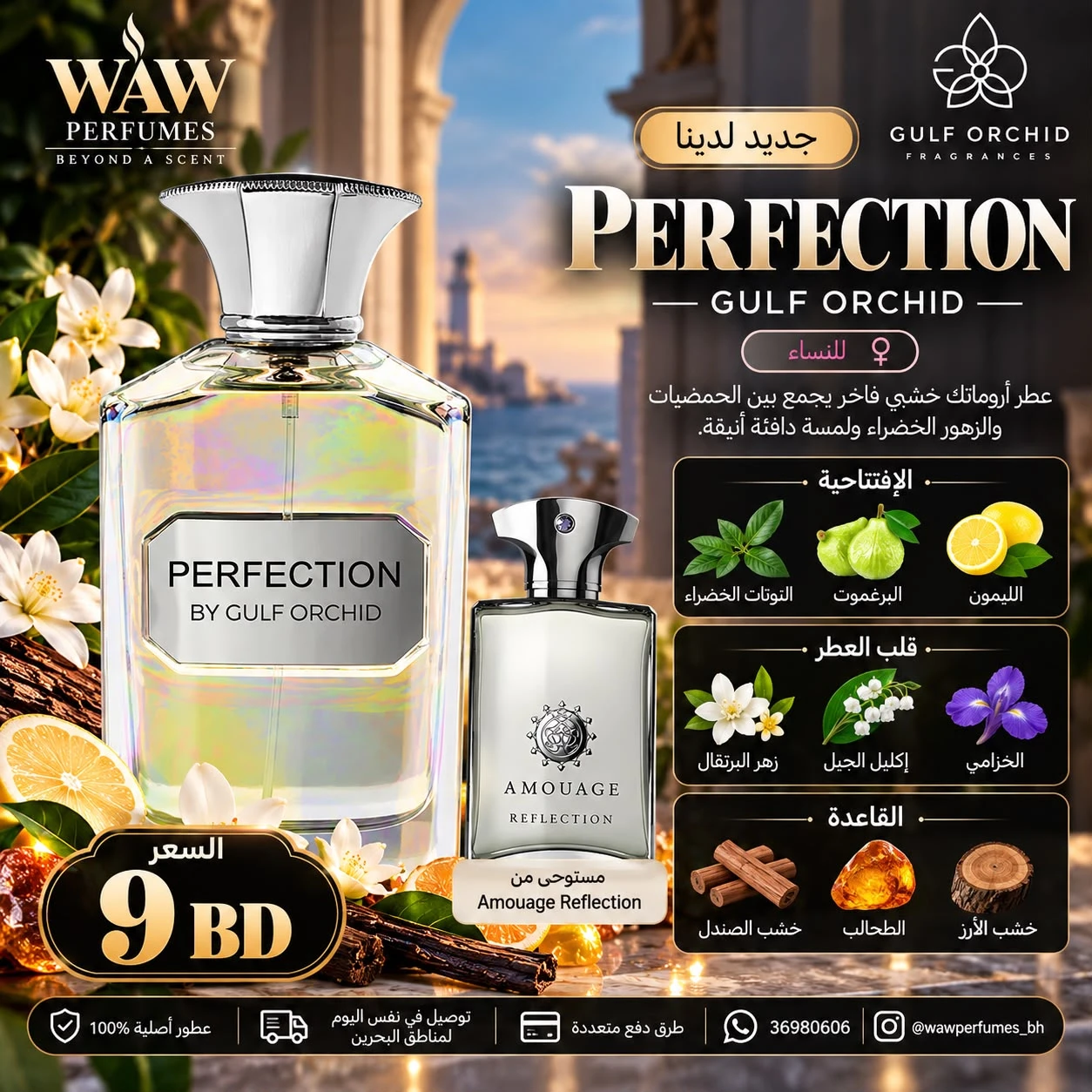 Perfection – Gulf Orchid