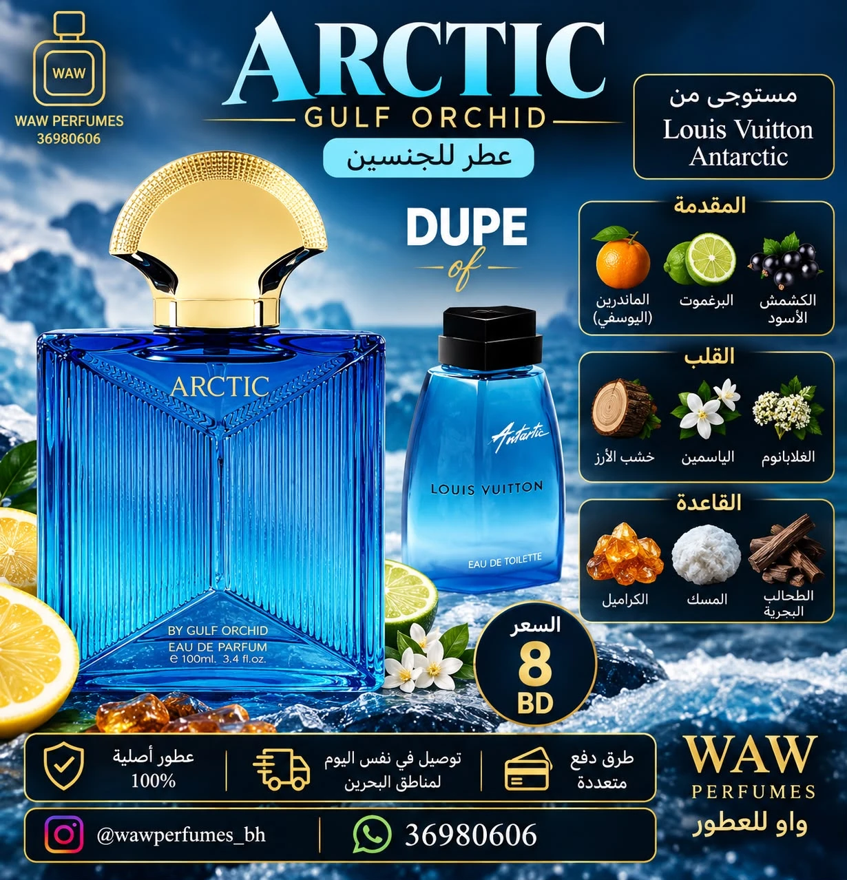 Arctic – Gulf Orchid
