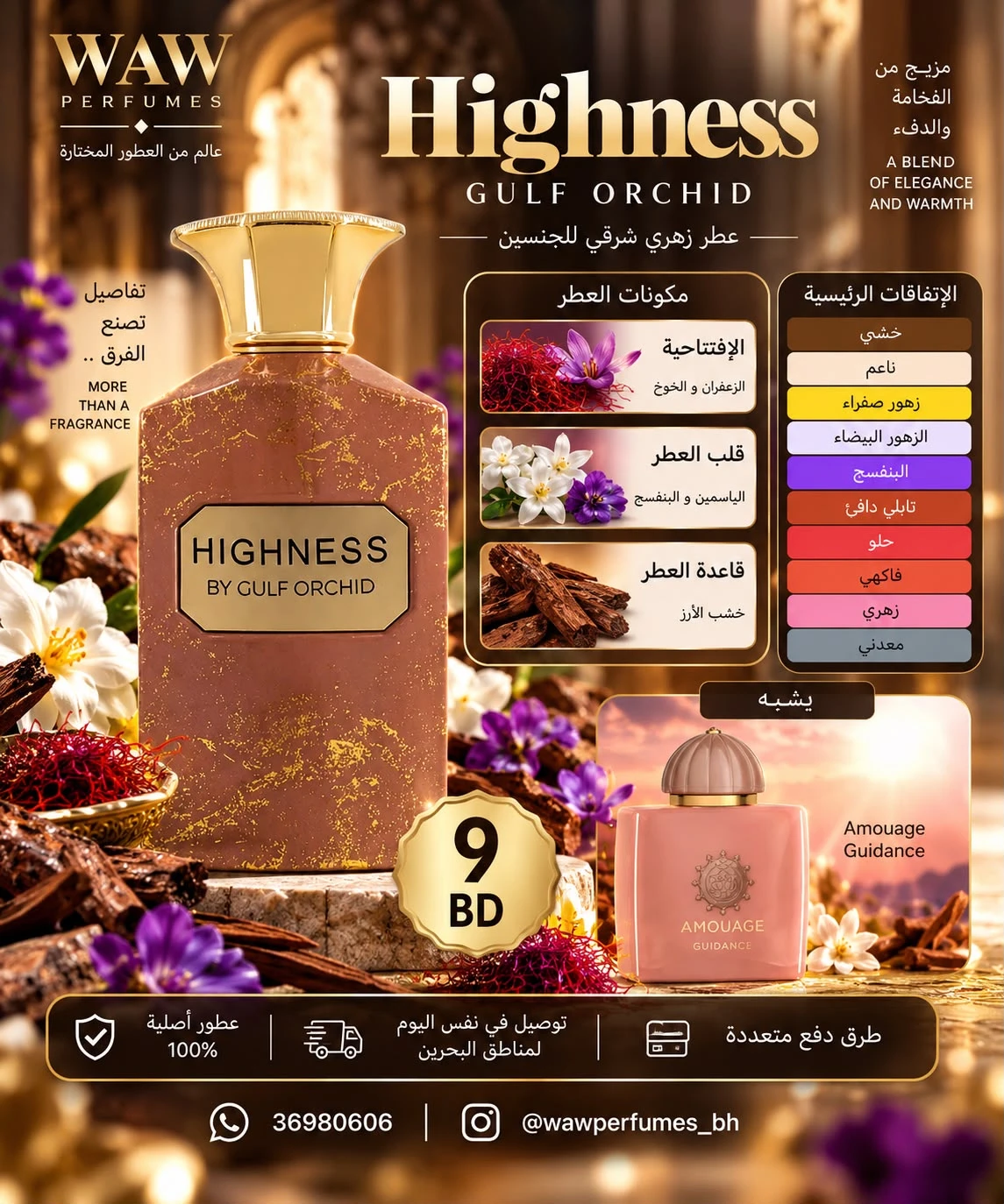 Highness – Gulf Orchid