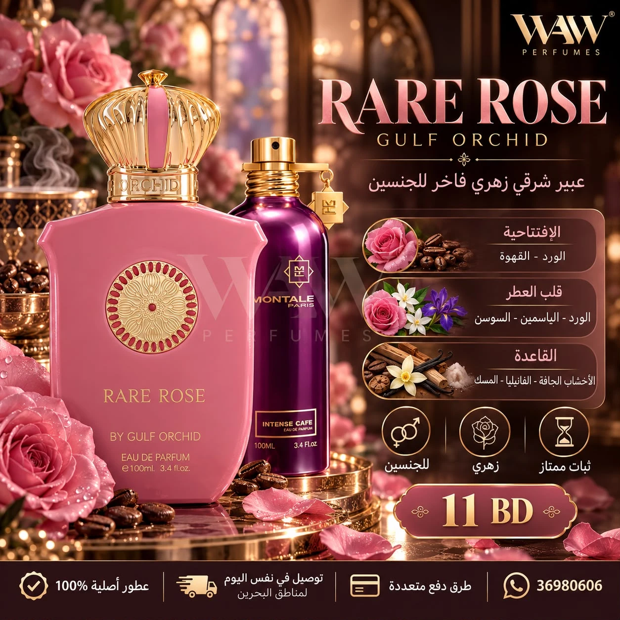 Rare Rose – Gulf Orchid